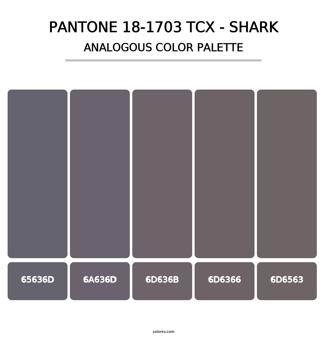 PANTONE 18-1703 TCX - Shark - Analogous Color Palette