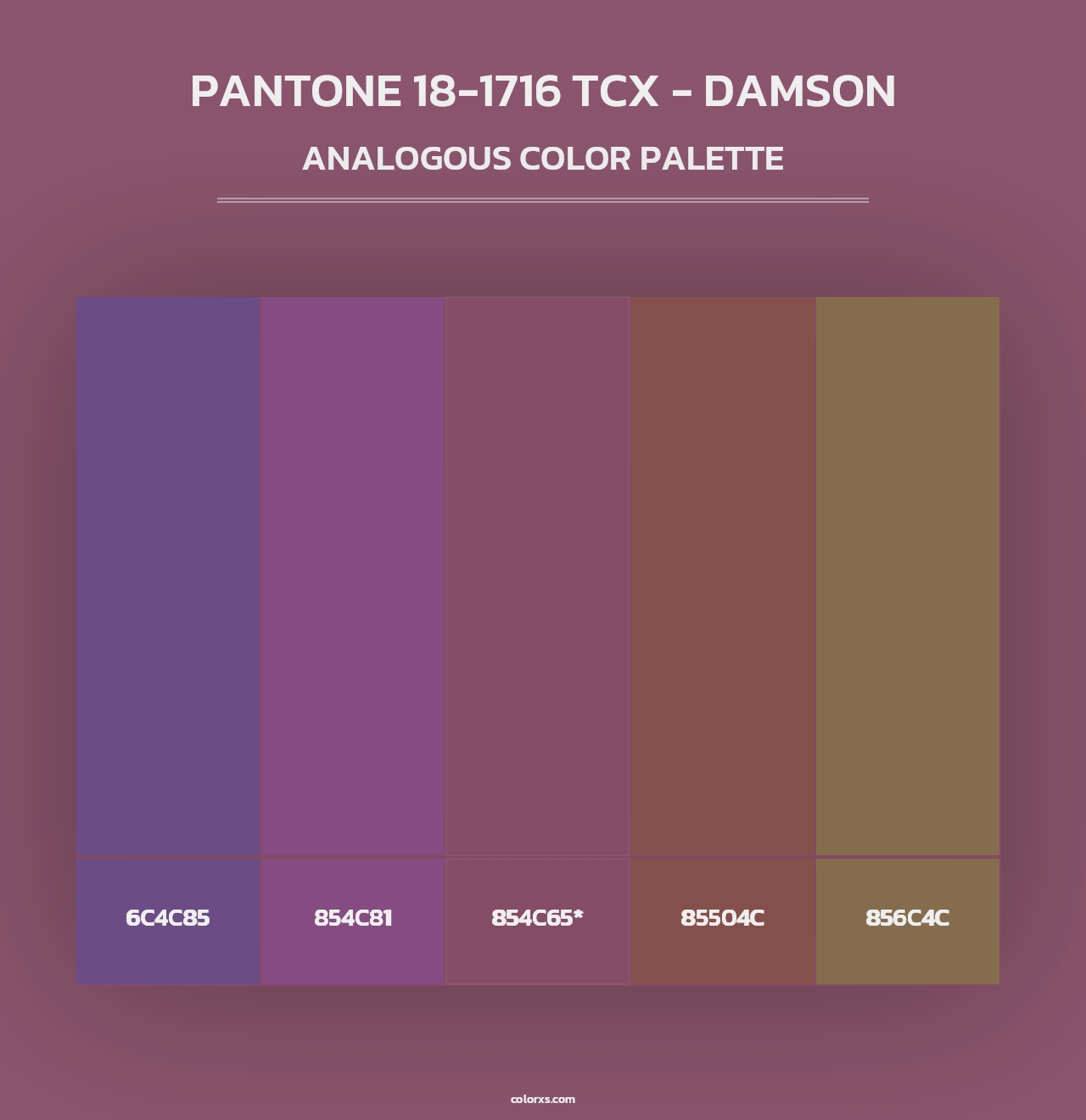PANTONE 18-1716 TCX - Damson - Analogous Color Palette