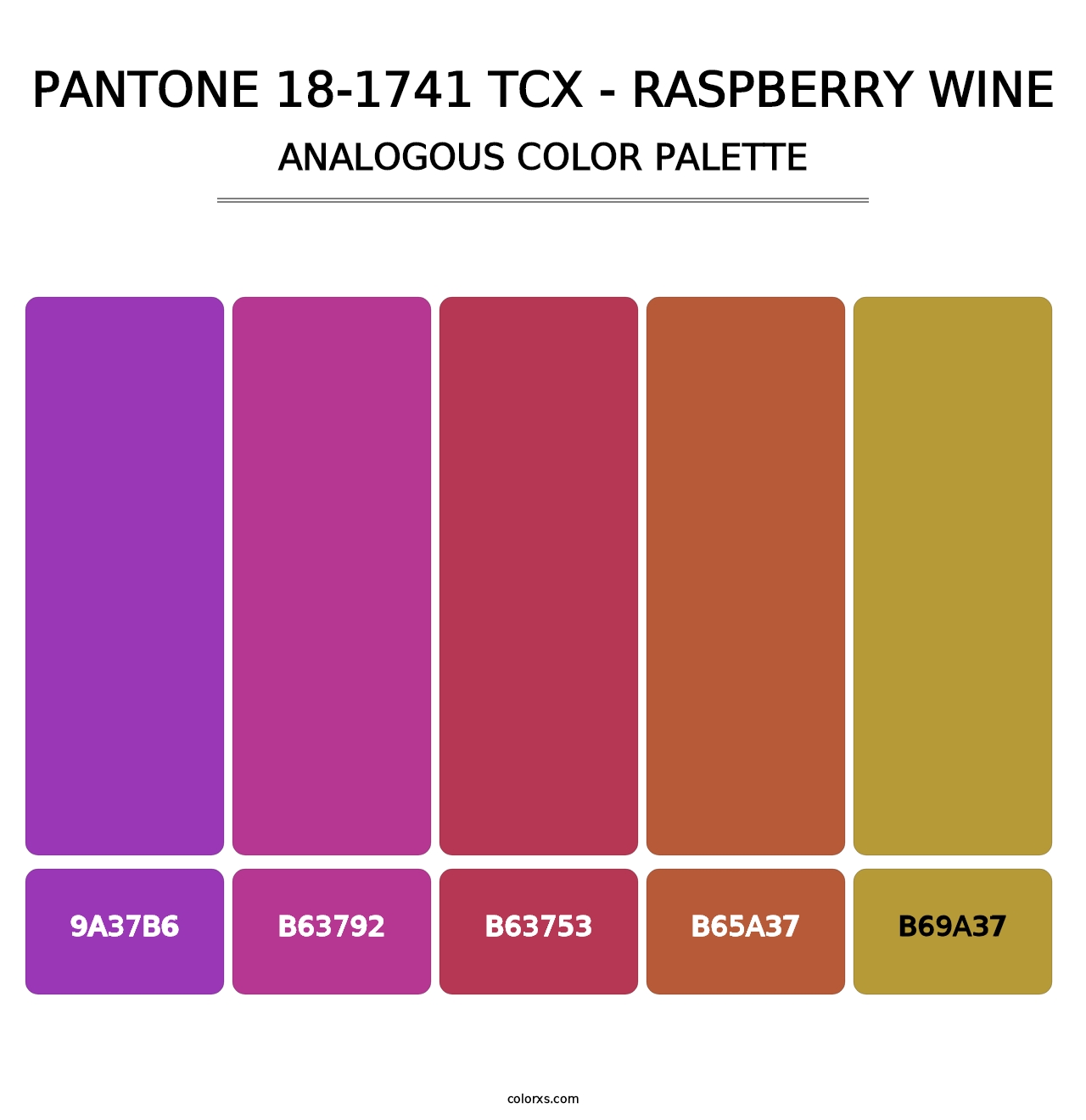 PANTONE 18-1741 TCX - Raspberry Wine - Analogous Color Palette