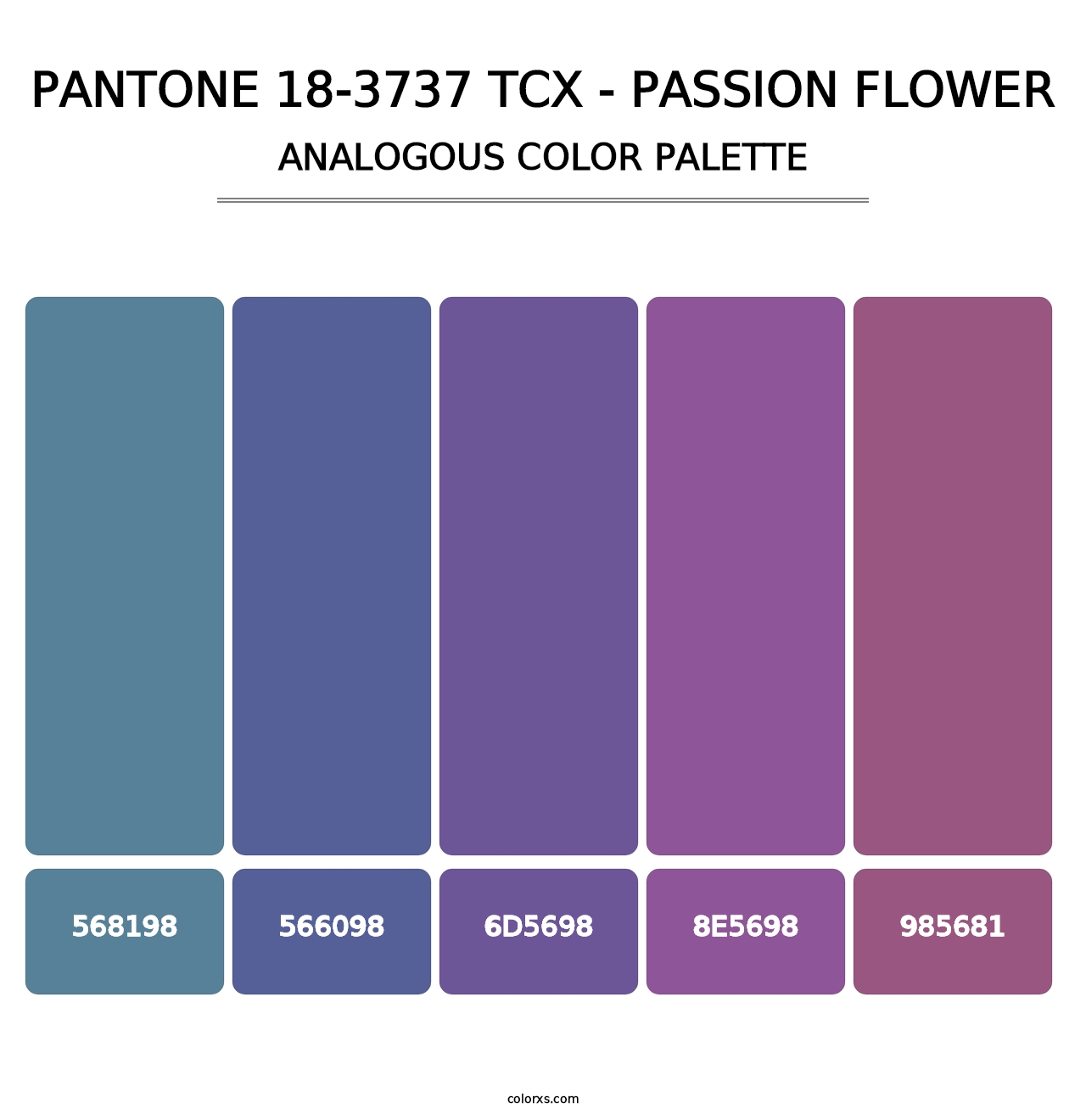 PANTONE 18-3737 TCX - Passion Flower - Analogous Color Palette