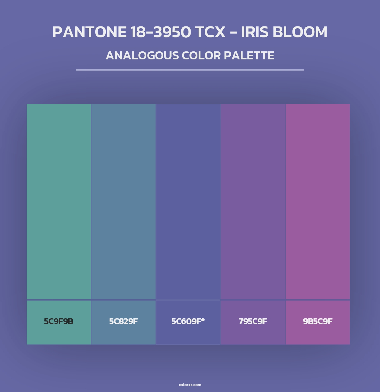 PANTONE 18-3950 TCX - Iris Bloom - Analogous Color Palette