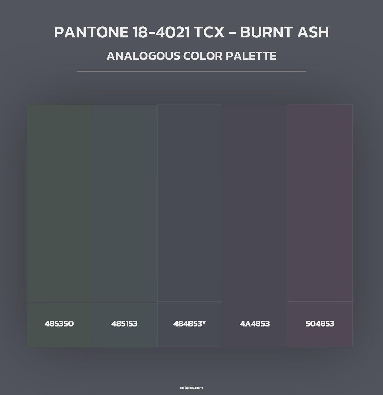 PANTONE 18-4021 TCX - Burnt Ash - Analogous Color Palette