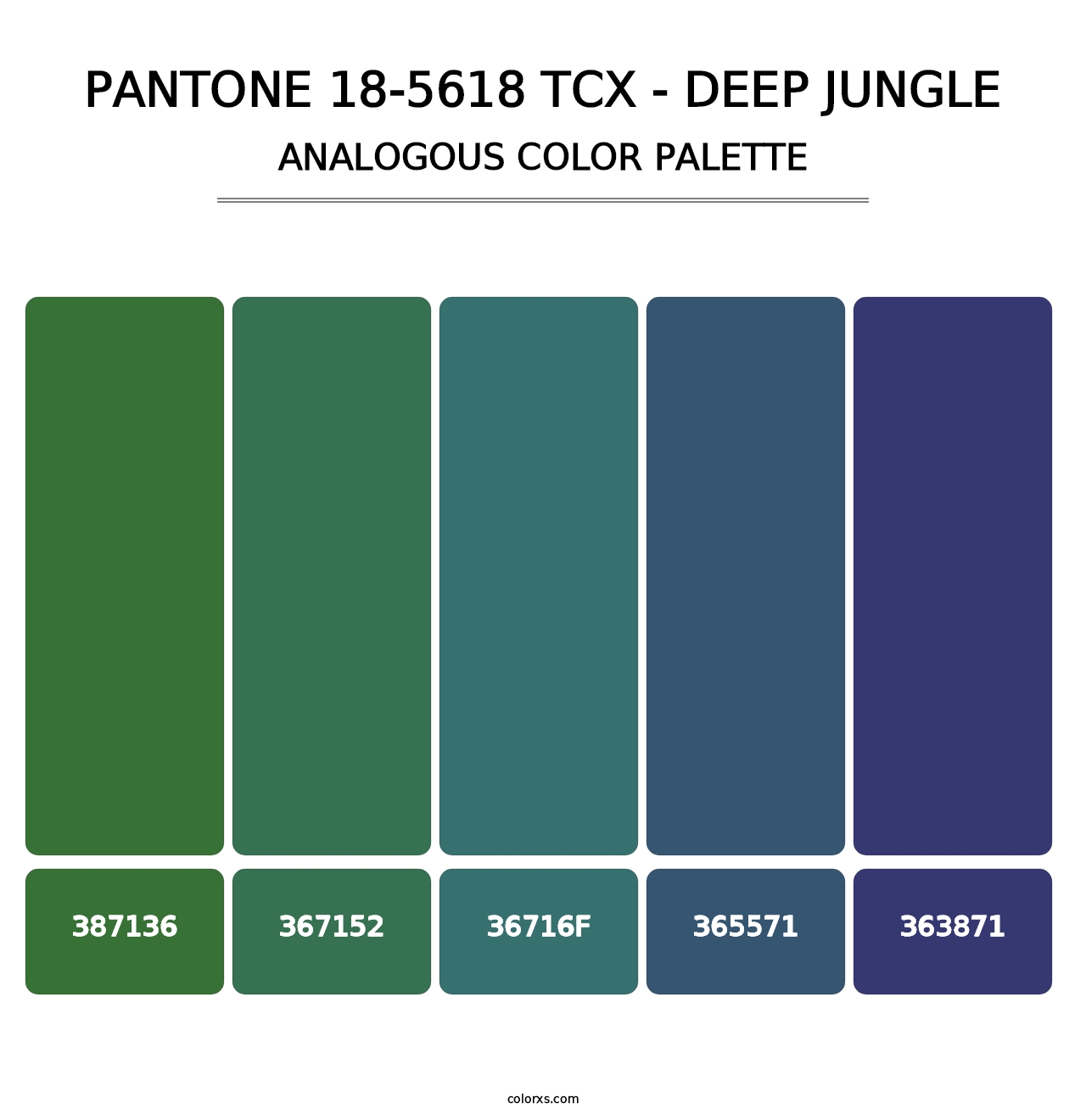 PANTONE 18-5618 TCX - Deep Jungle - Analogous Color Palette