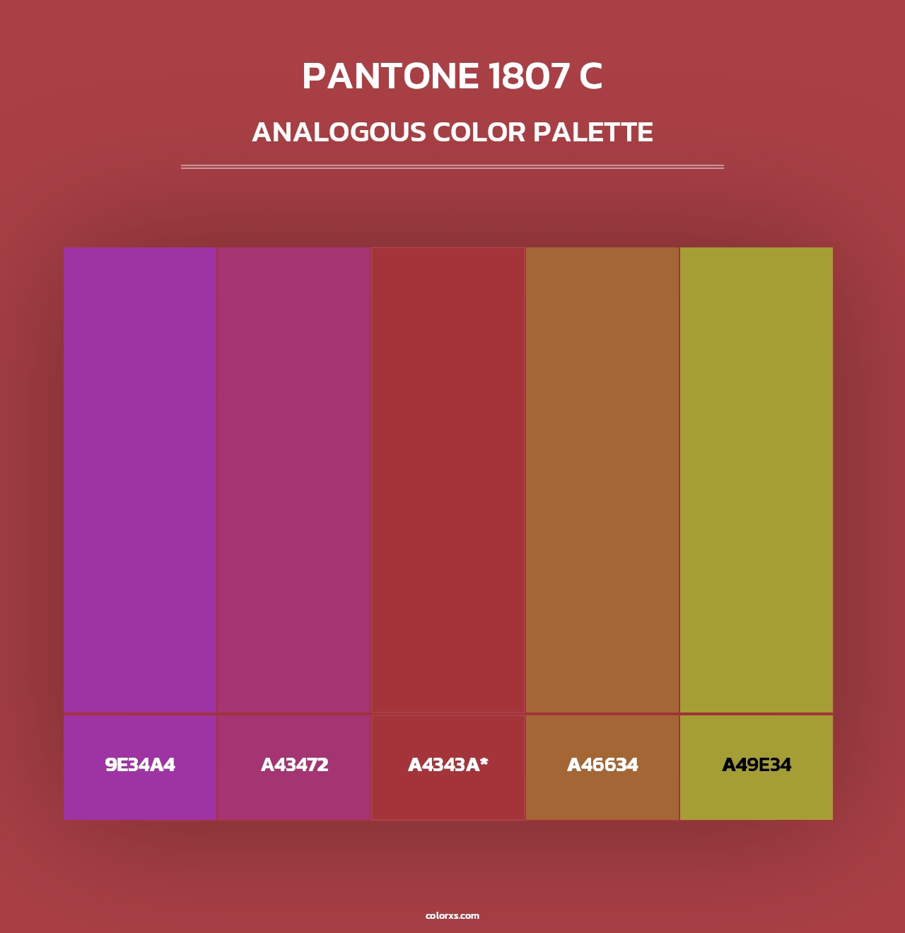 PANTONE 1807 C color palettes