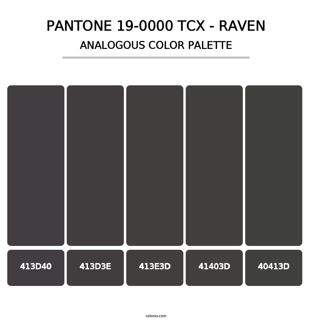 PANTONE 19-0000 TCX - Raven - Analogous Color Palette