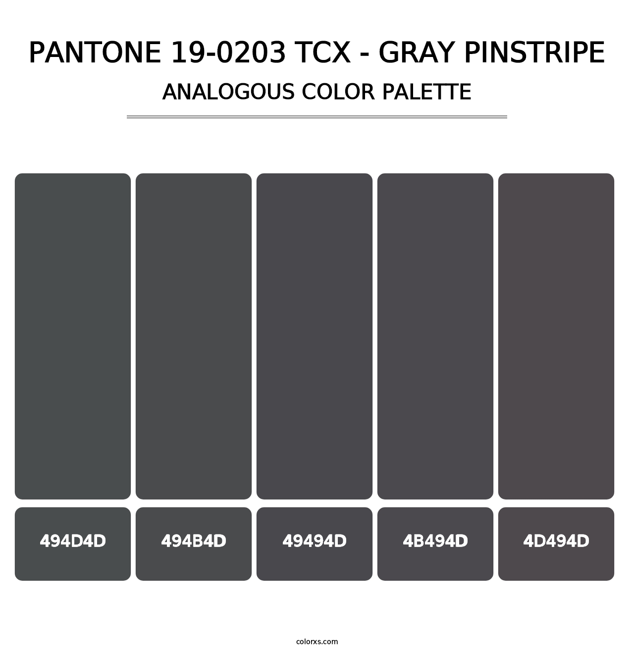 PANTONE 19-0203 TCX - Gray Pinstripe - Analogous Color Palette