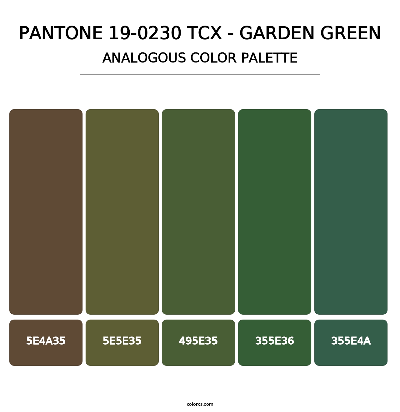 PANTONE 19-0230 TCX - Garden Green - Analogous Color Palette