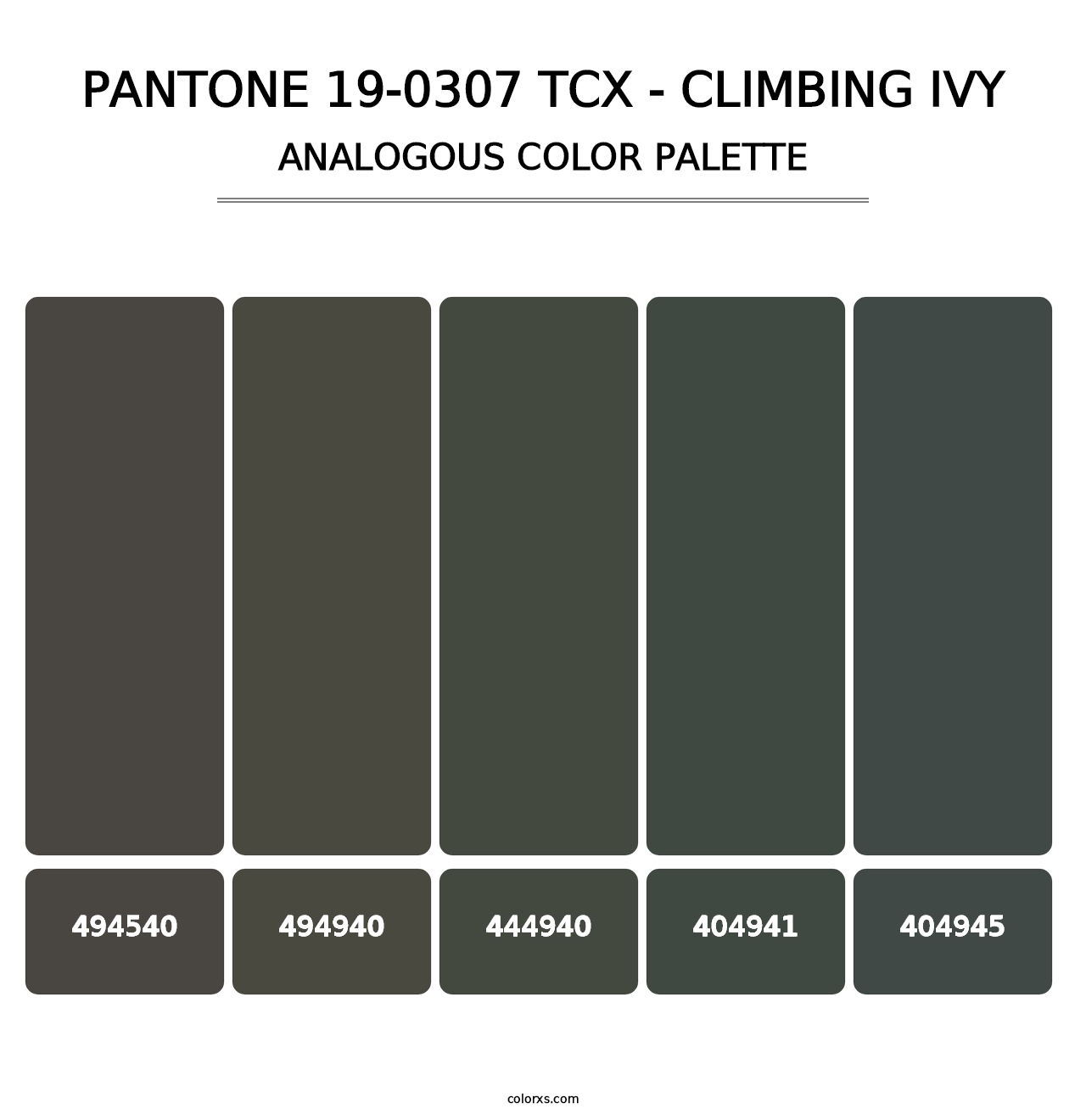 PANTONE 19-0307 TCX - Climbing Ivy - Analogous Color Palette
