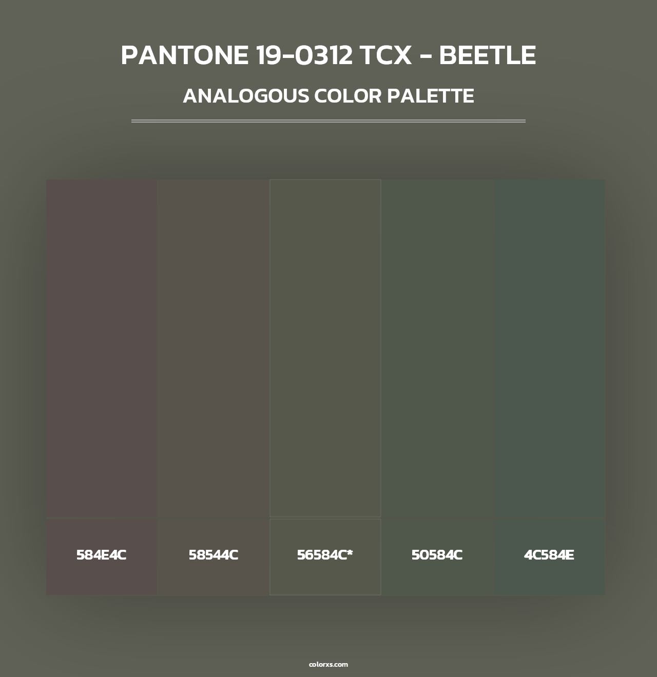 PANTONE 19-0312 TCX - Beetle - Analogous Color Palette