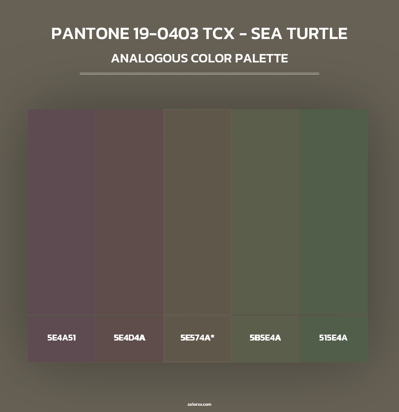 PANTONE 19-0403 TCX - Sea Turtle - Analogous Color Palette