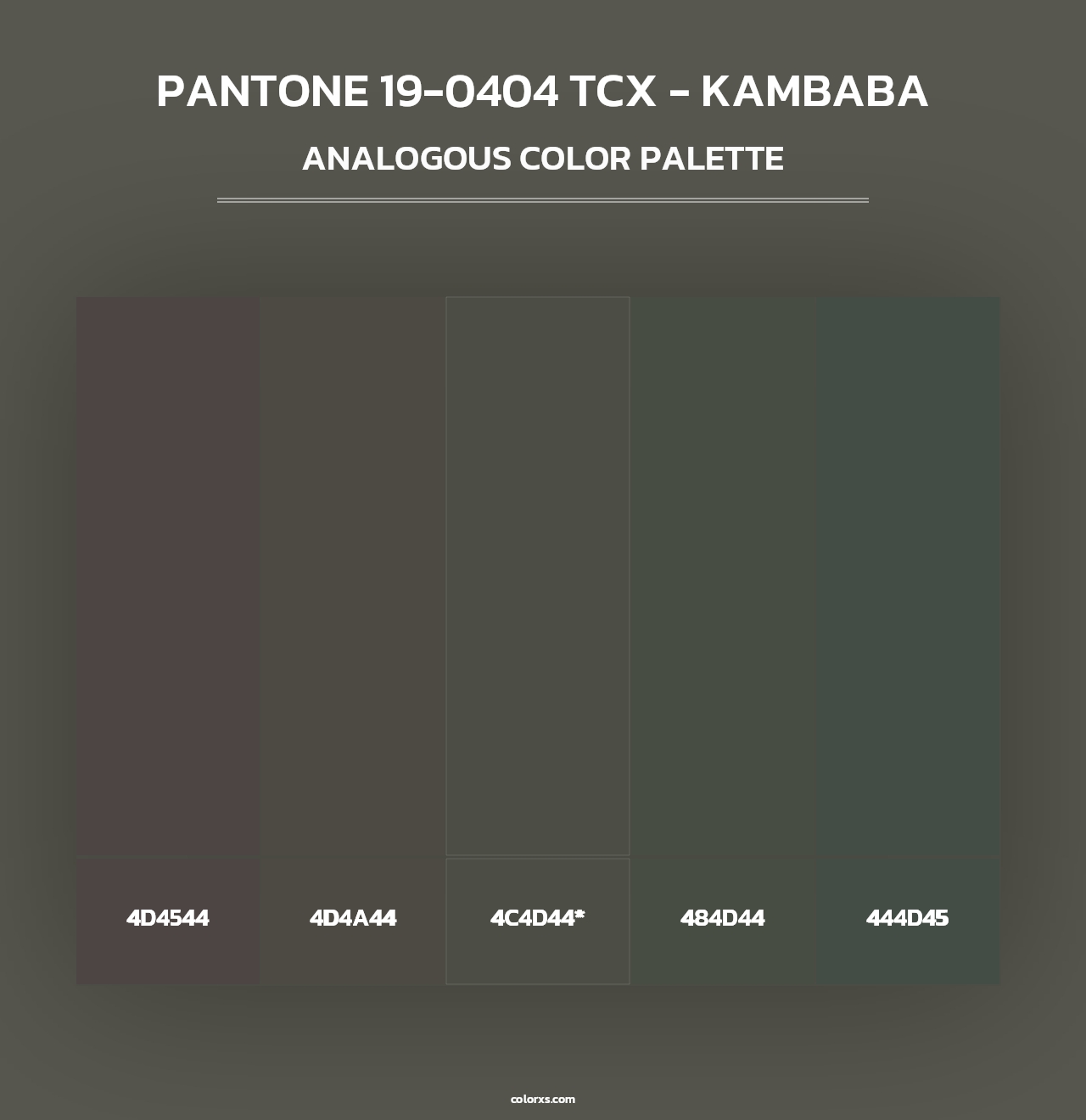 PANTONE 19-0404 TCX - Kambaba - Analogous Color Palette