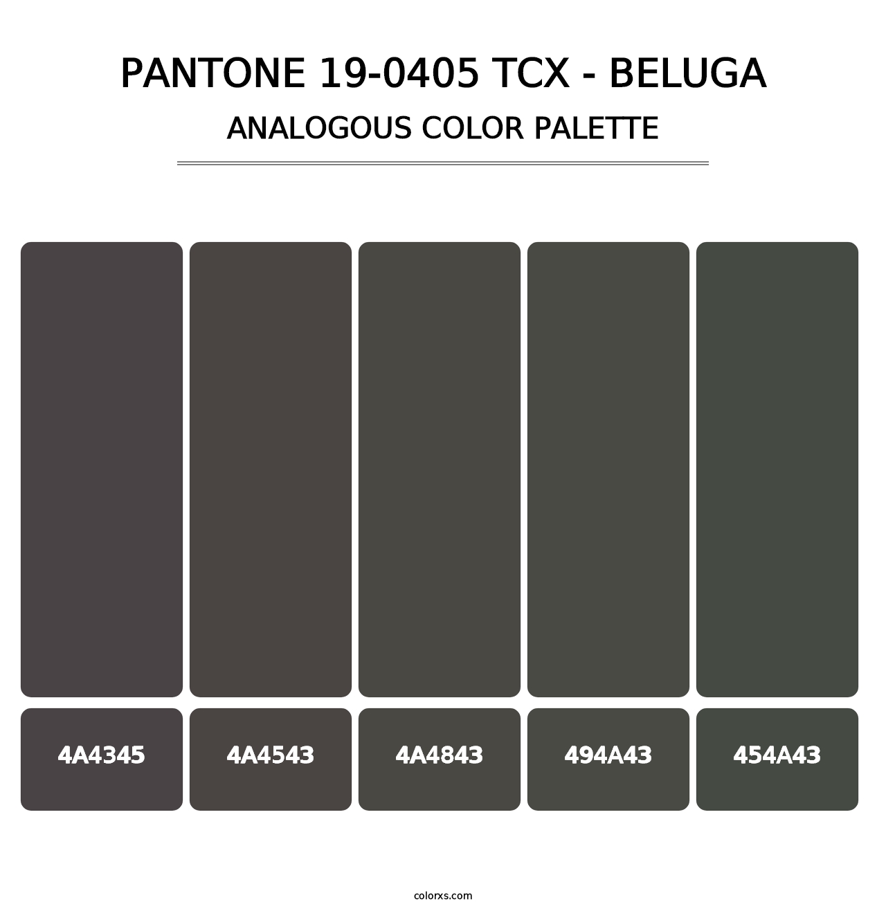 PANTONE 19-0405 TCX - Beluga - Analogous Color Palette