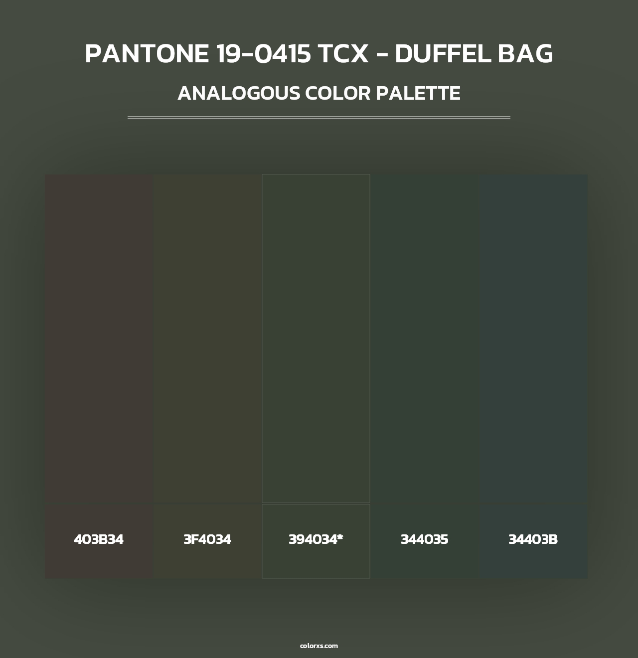 PANTONE 19-0415 TCX - Duffel Bag - Analogous Color Palette