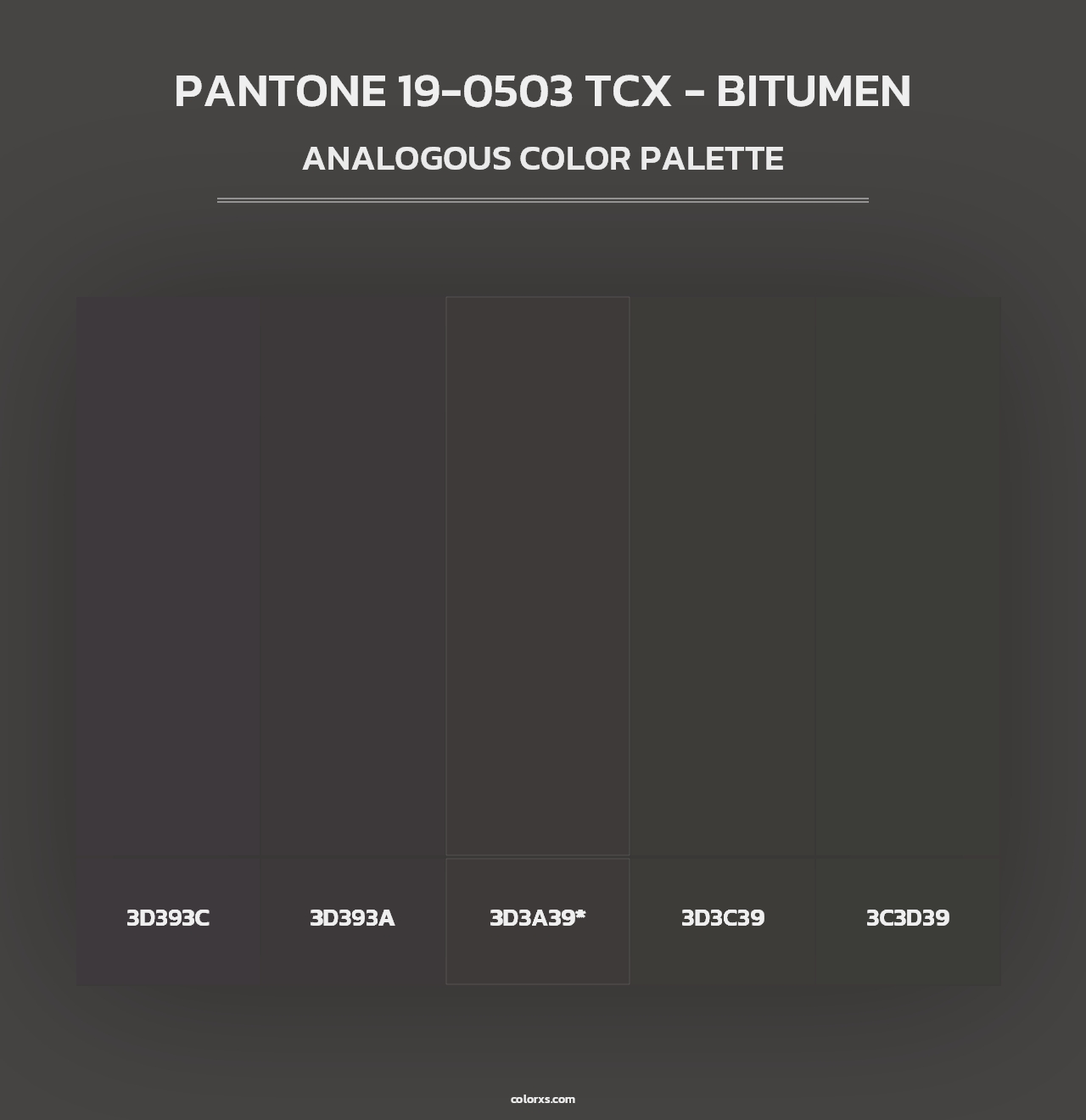 PANTONE 19-0503 TCX - Bitumen - Analogous Color Palette