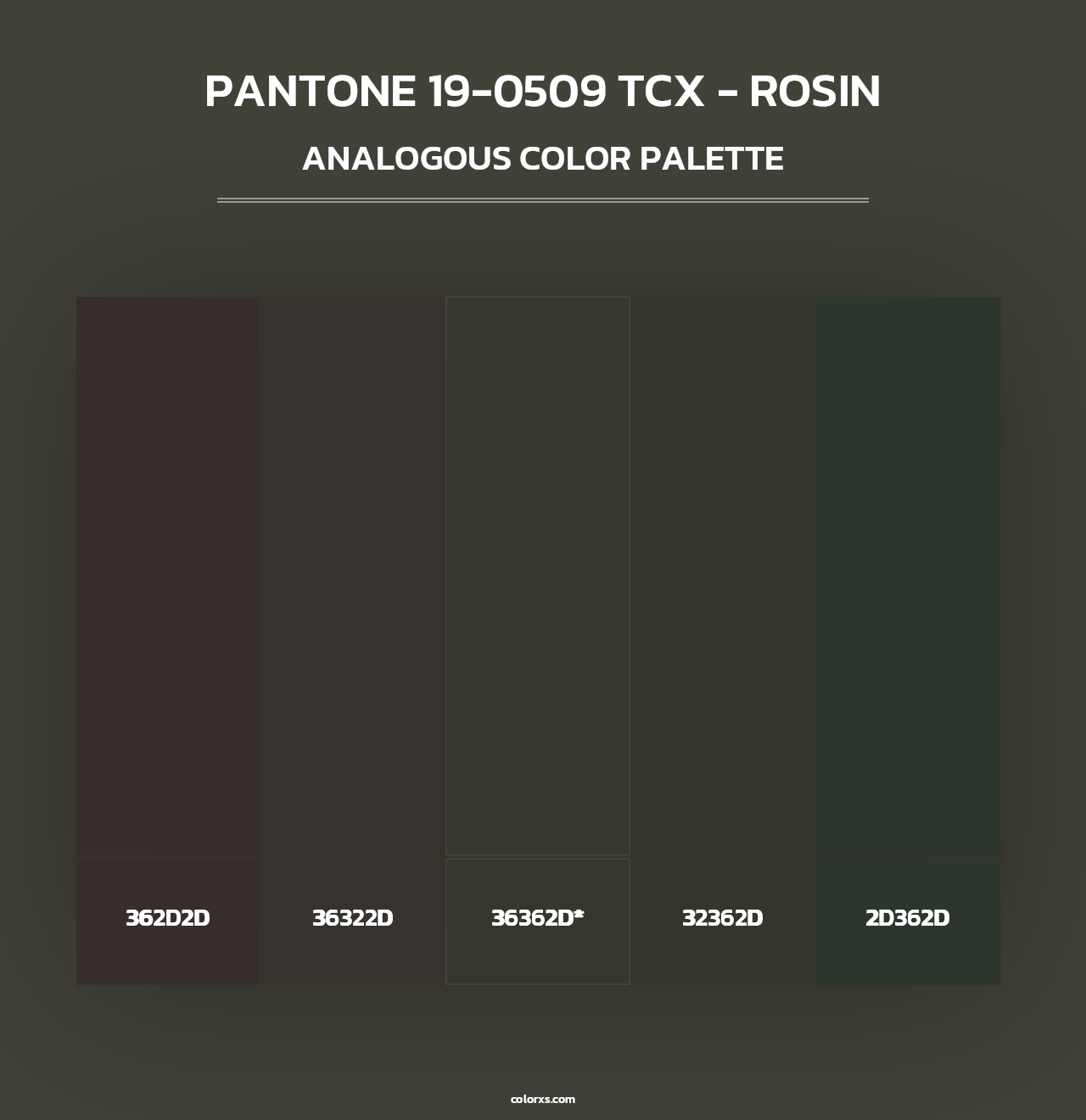 PANTONE 19-0509 TCX - Rosin - Analogous Color Palette
