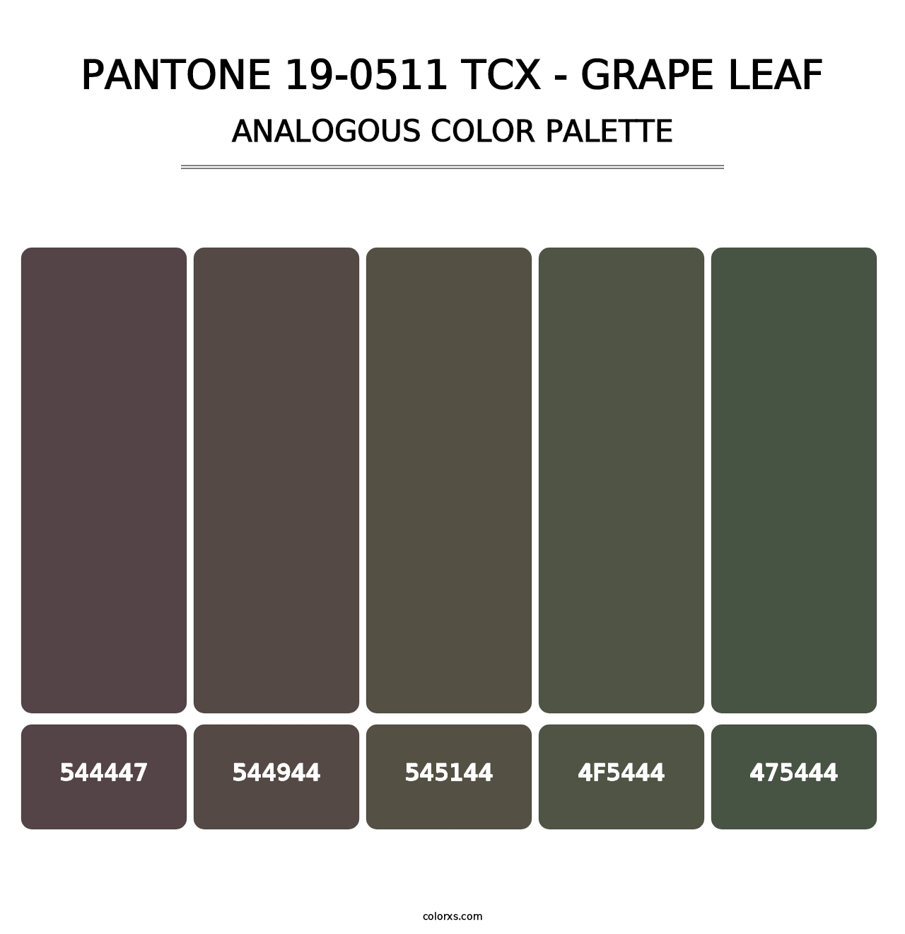 PANTONE 19-0511 TCX - Grape Leaf - Analogous Color Palette