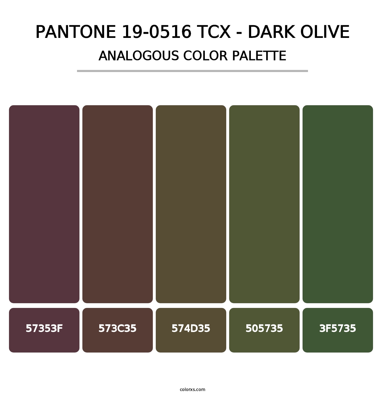 PANTONE 19-0516 TCX - Dark Olive - Analogous Color Palette