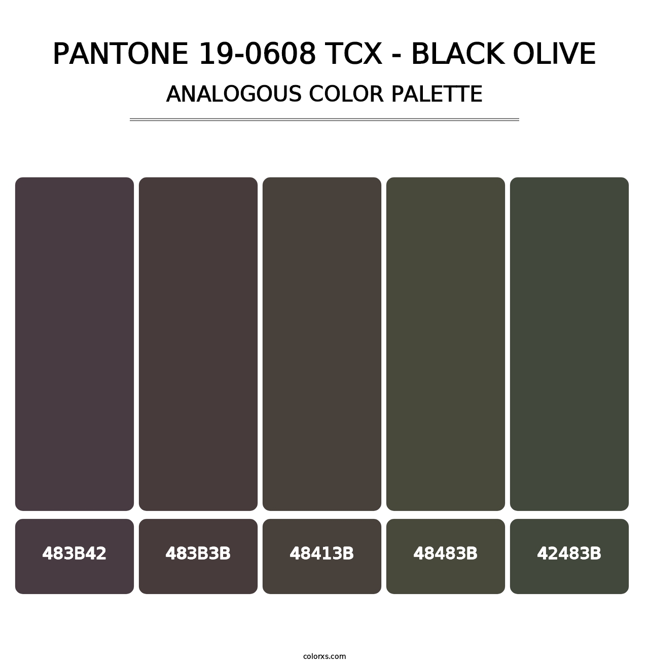 PANTONE 19-0608 TCX - Black Olive - Analogous Color Palette