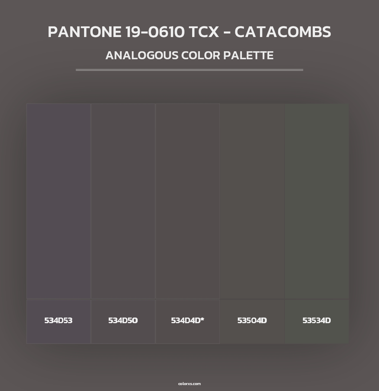 PANTONE 19-0610 TCX - Catacombs - Analogous Color Palette