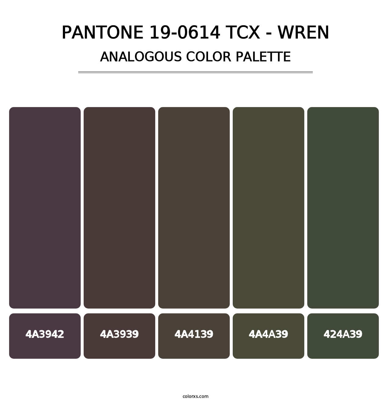 PANTONE 19-0614 TCX - Wren - Analogous Color Palette