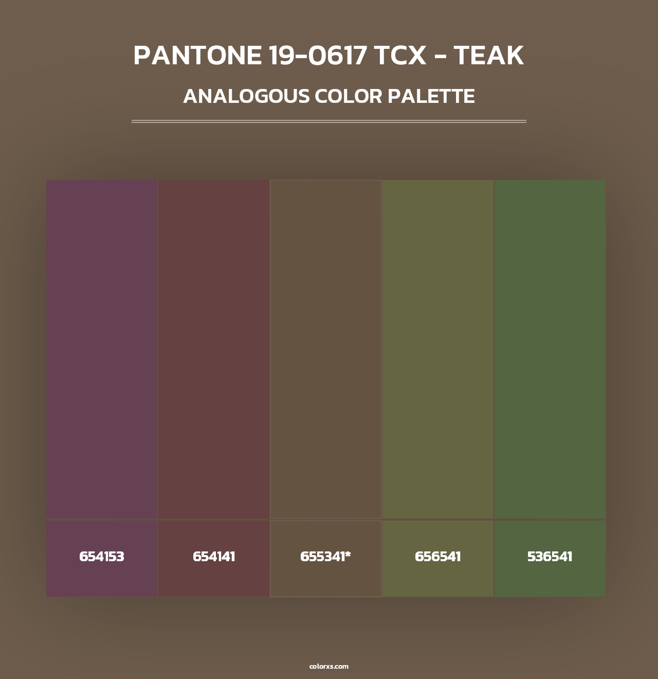PANTONE 19-0617 TCX - Teak - Analogous Color Palette