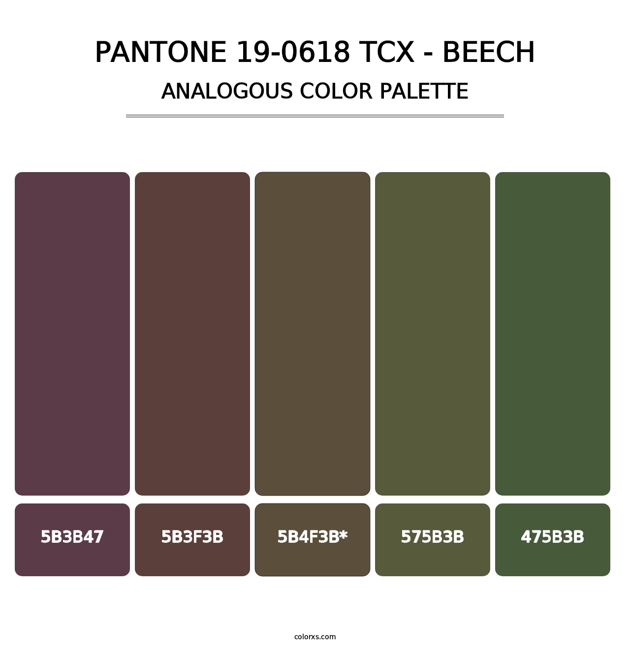 PANTONE 19-0618 TCX - Beech - Analogous Color Palette