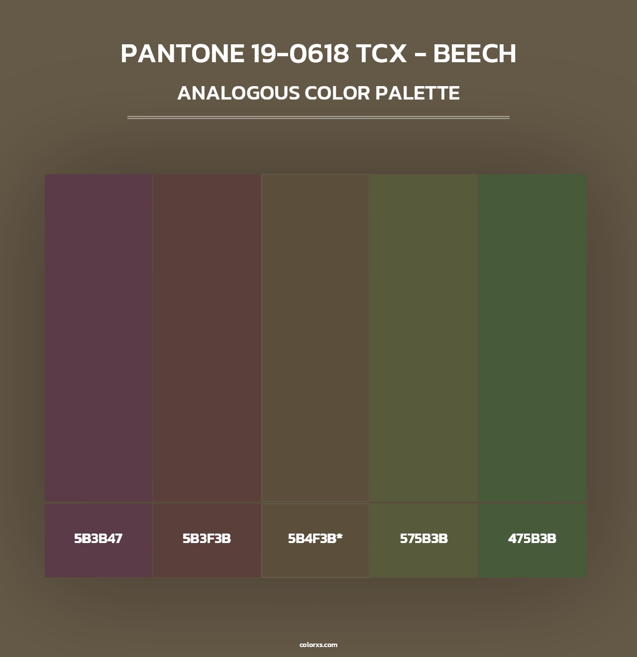 PANTONE 19-0618 TCX - Beech - Analogous Color Palette