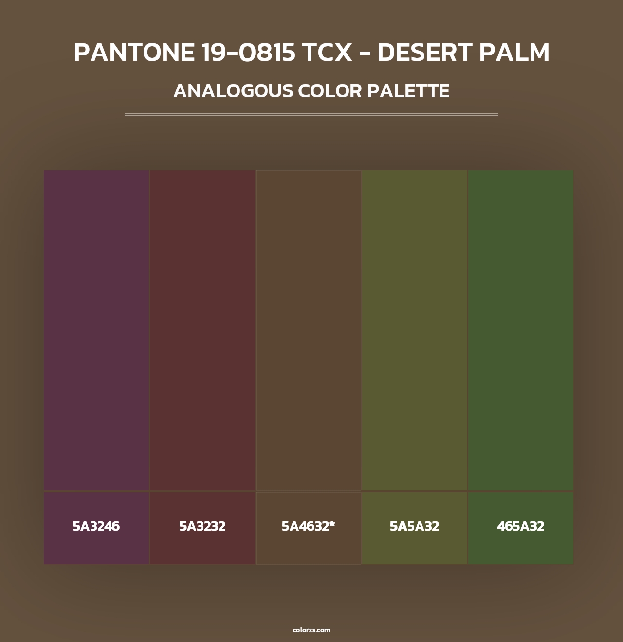 PANTONE 19-0815 TCX - Desert Palm - Analogous Color Palette