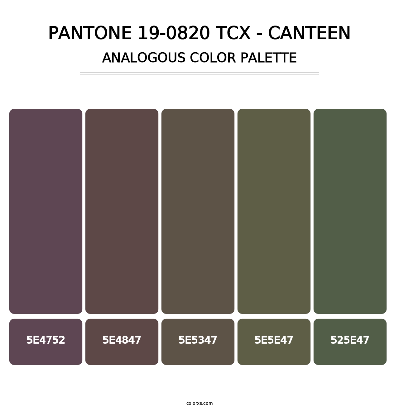 PANTONE 19-0820 TCX - Canteen - Analogous Color Palette