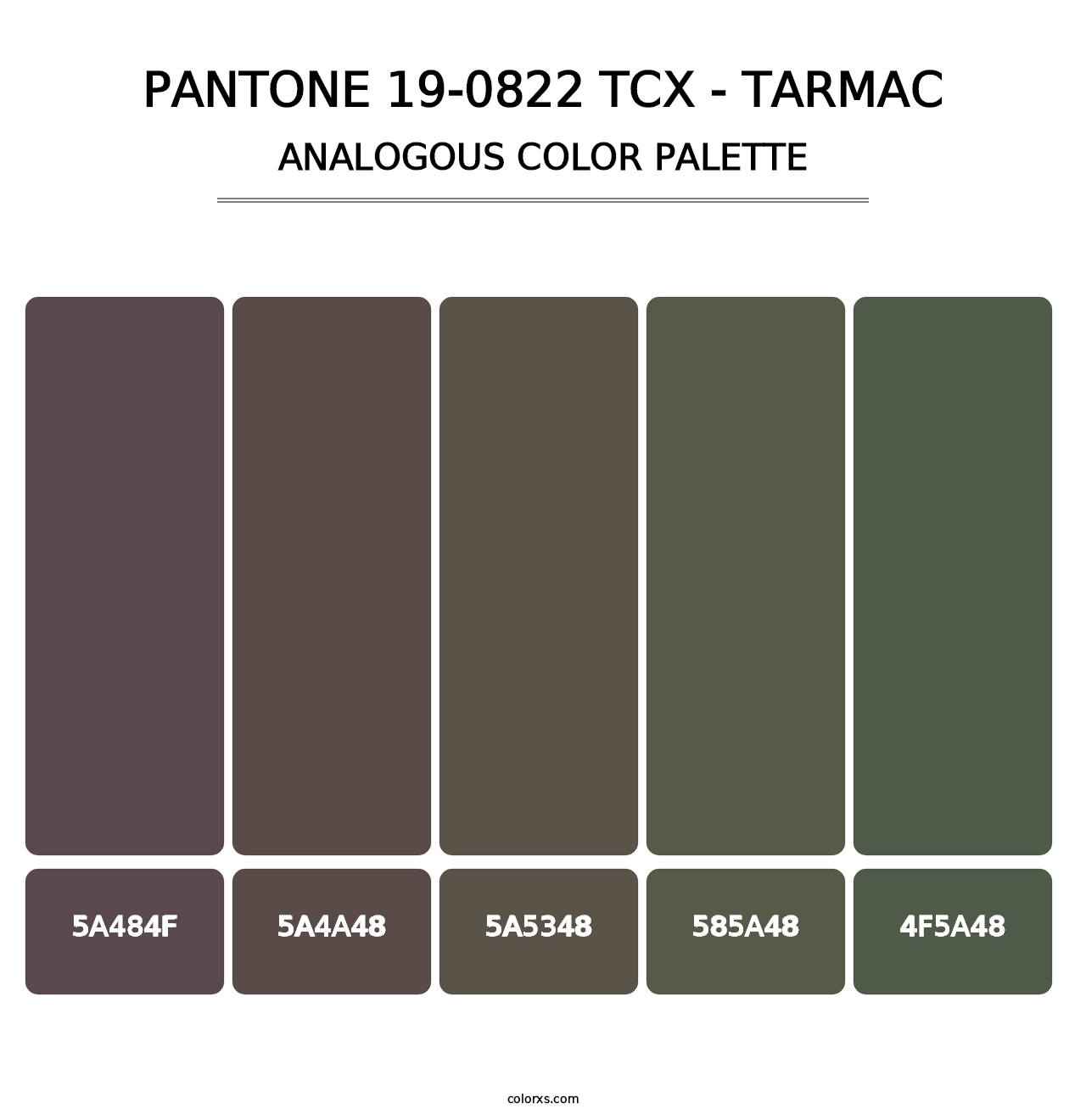 PANTONE 19-0822 TCX - Tarmac - Analogous Color Palette