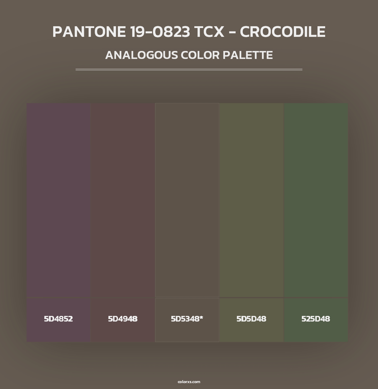 PANTONE 19-0823 TCX - Crocodile - Analogous Color Palette