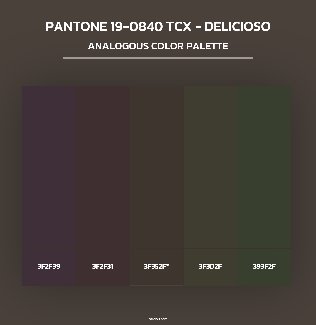 PANTONE 19-0840 TCX - Delicioso - Analogous Color Palette