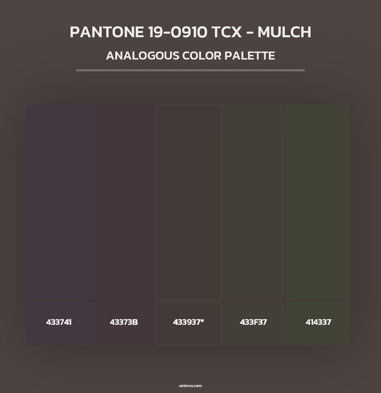 PANTONE 19-0910 TCX - Mulch - Analogous Color Palette