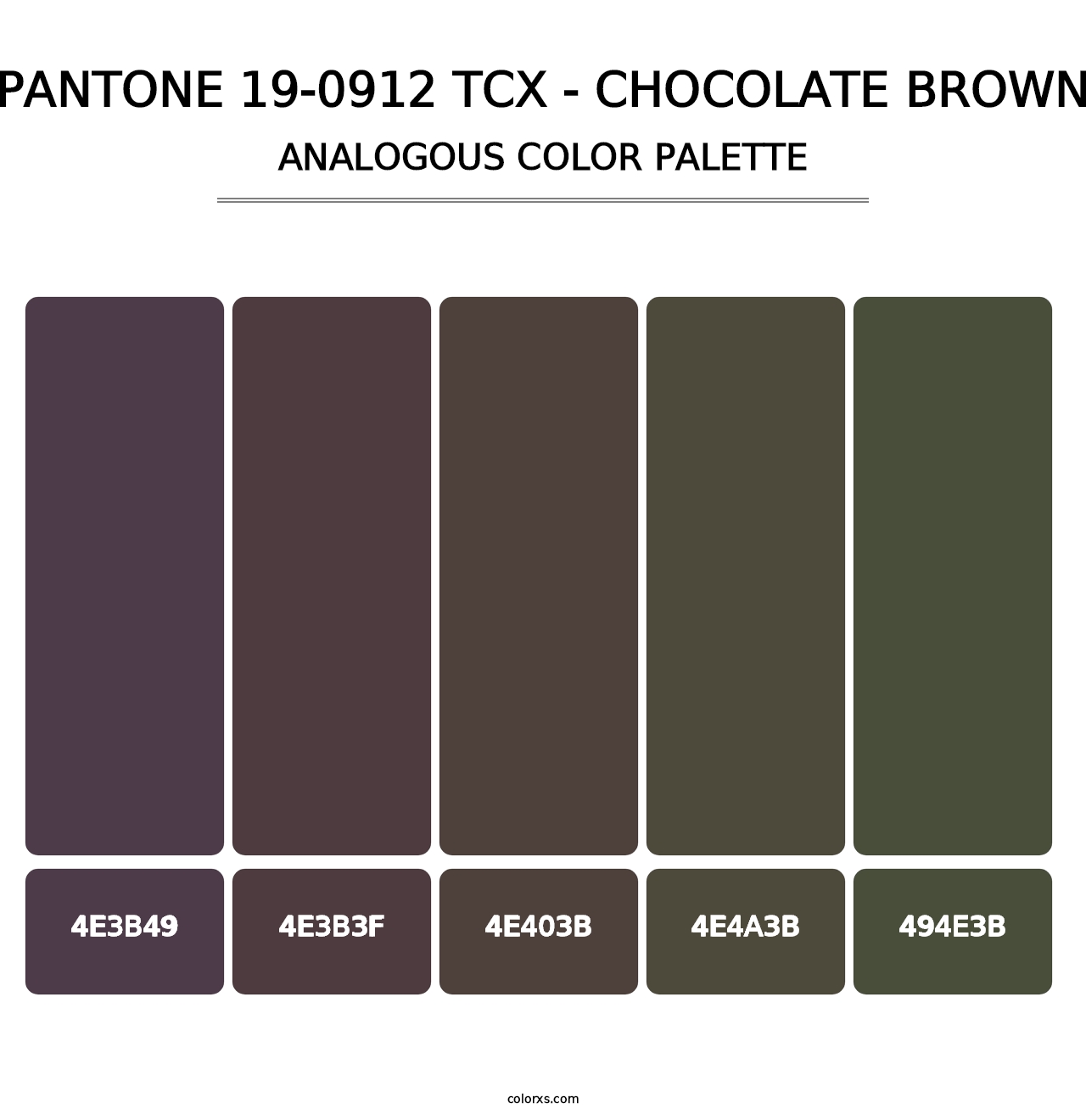 PANTONE 19-0912 TCX - Chocolate Brown - Analogous Color Palette