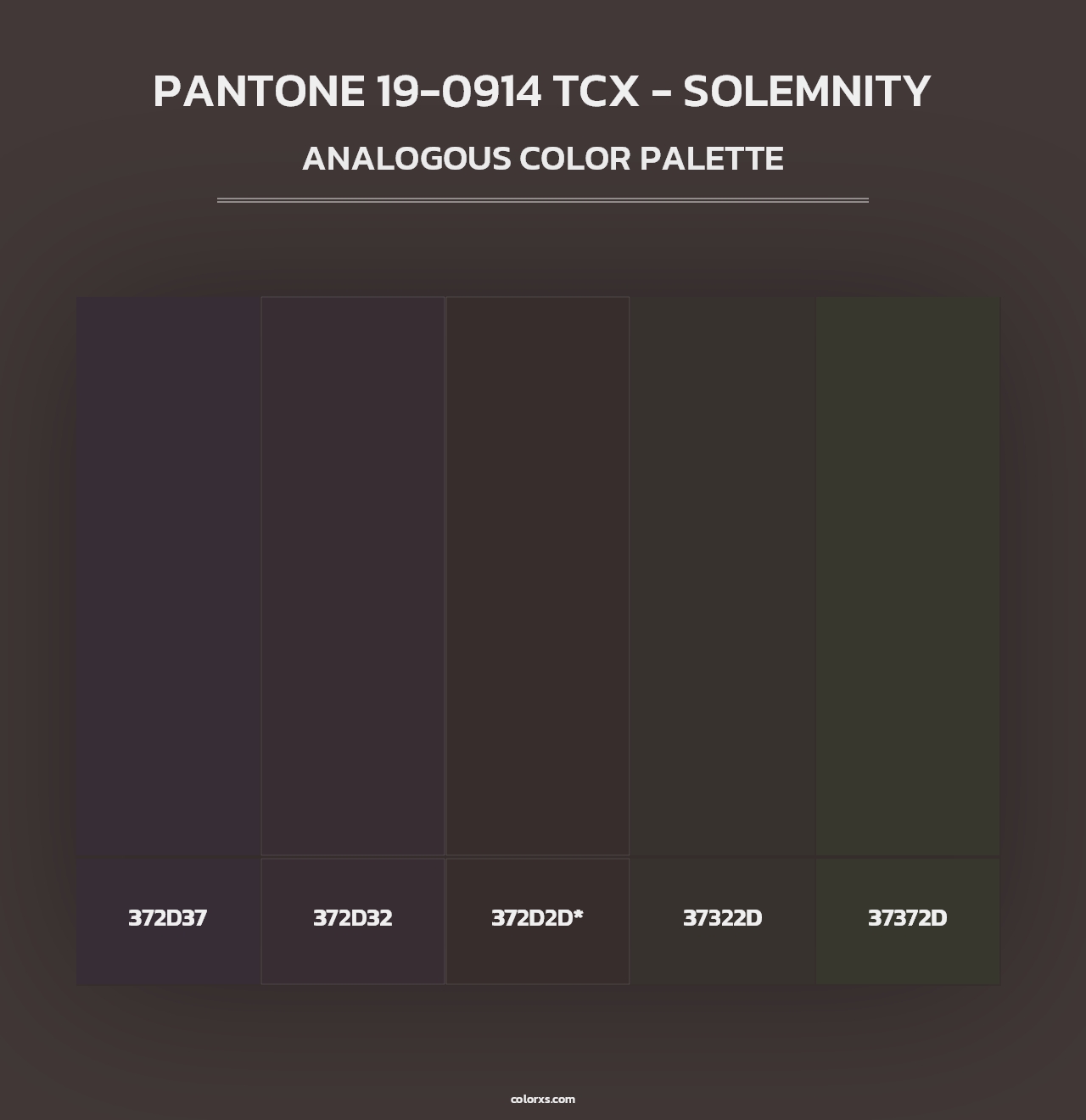PANTONE 19-0914 TCX - Solemnity - Analogous Color Palette