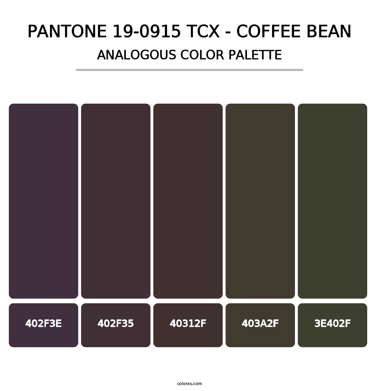 PANTONE 19-0915 TCX - Coffee Bean - Analogous Color Palette