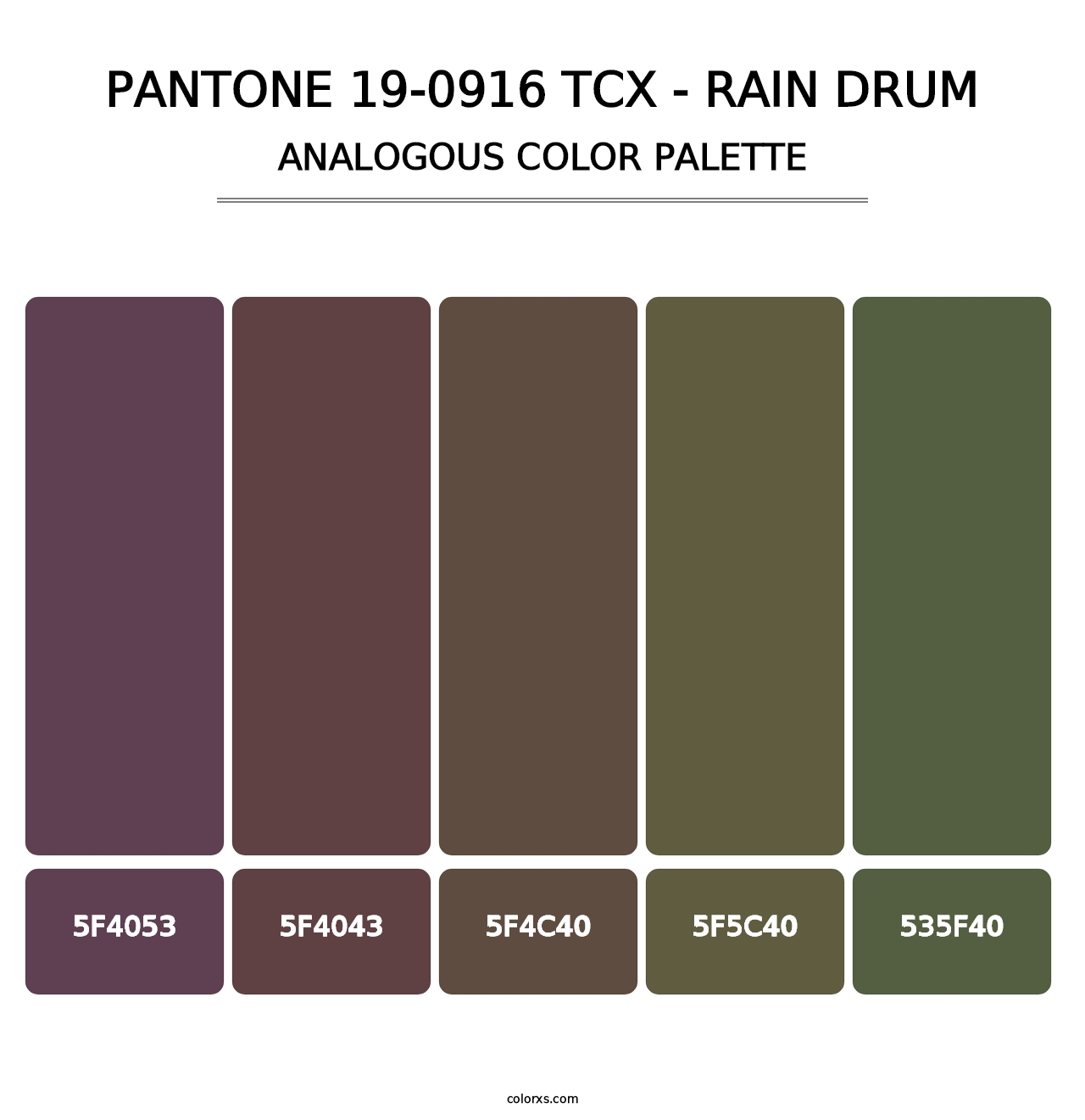 PANTONE 19-0916 TCX - Rain Drum - Analogous Color Palette
