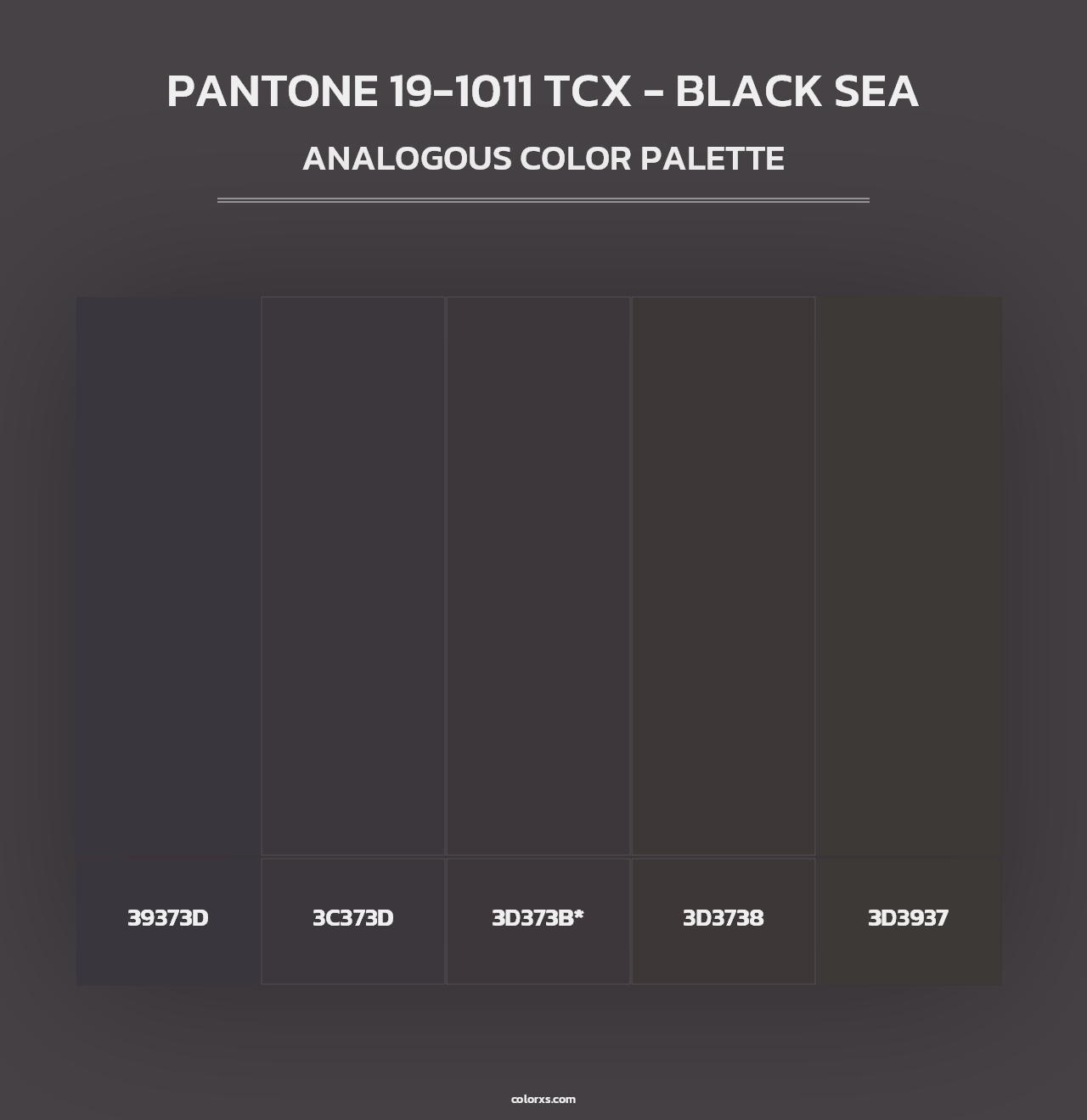 PANTONE 19-1011 TCX - Black Sea - Analogous Color Palette