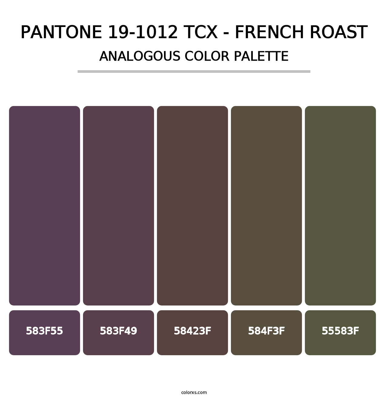 PANTONE 19-1012 TCX - French Roast - Analogous Color Palette