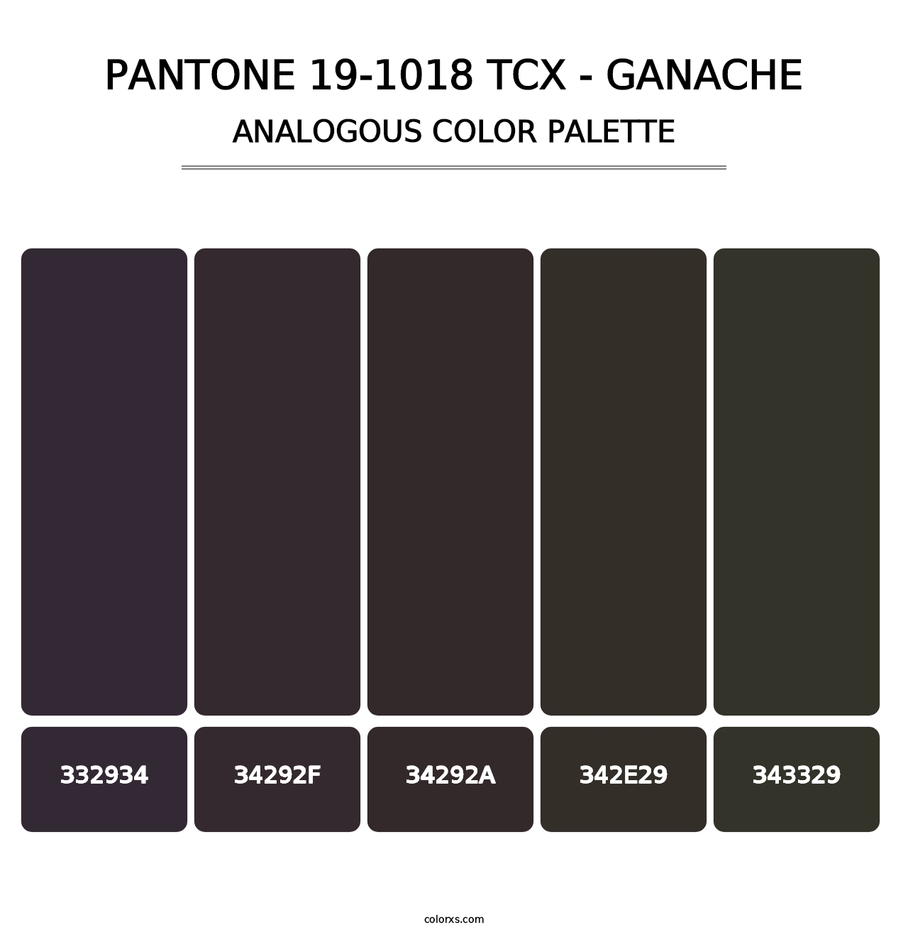 PANTONE 19-1018 TCX - Ganache - Analogous Color Palette