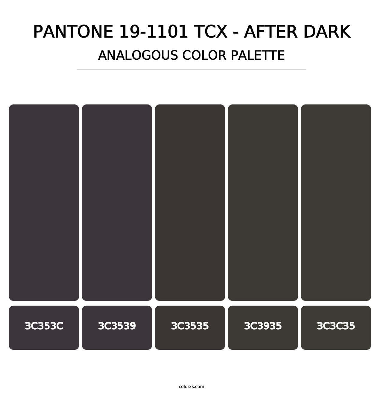 PANTONE 19-1101 TCX - After Dark - Analogous Color Palette