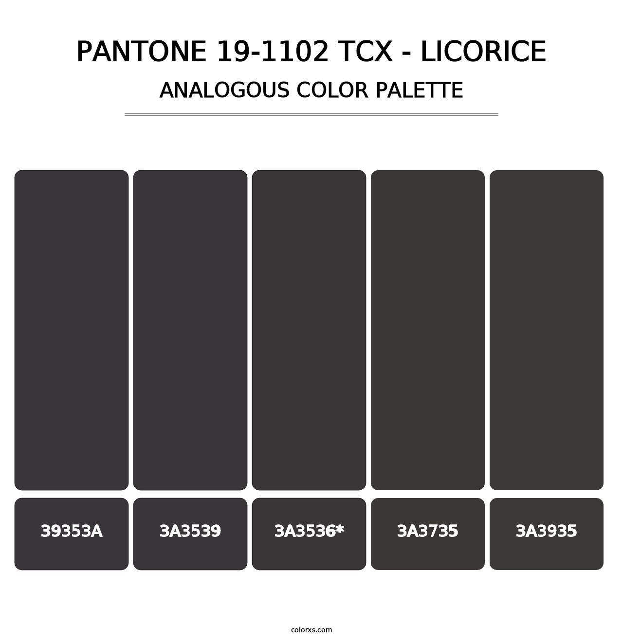 PANTONE 19-1102 TCX - Licorice - Analogous Color Palette