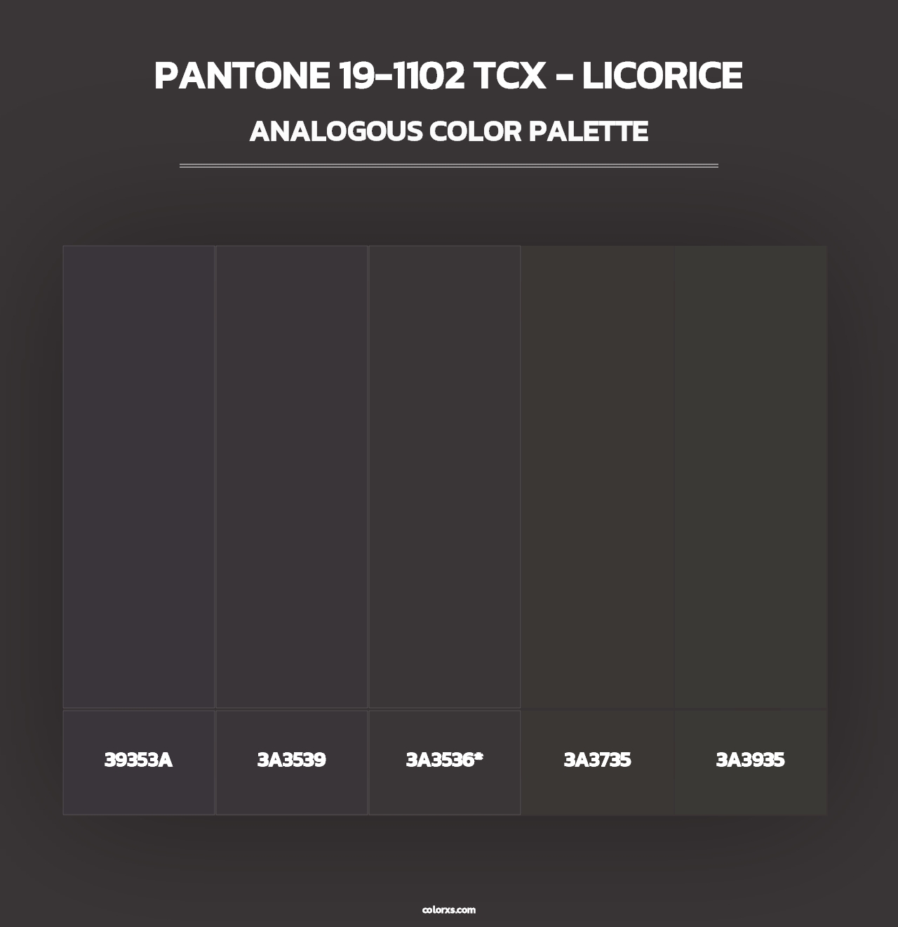 PANTONE 19-1102 TCX - Licorice - Analogous Color Palette