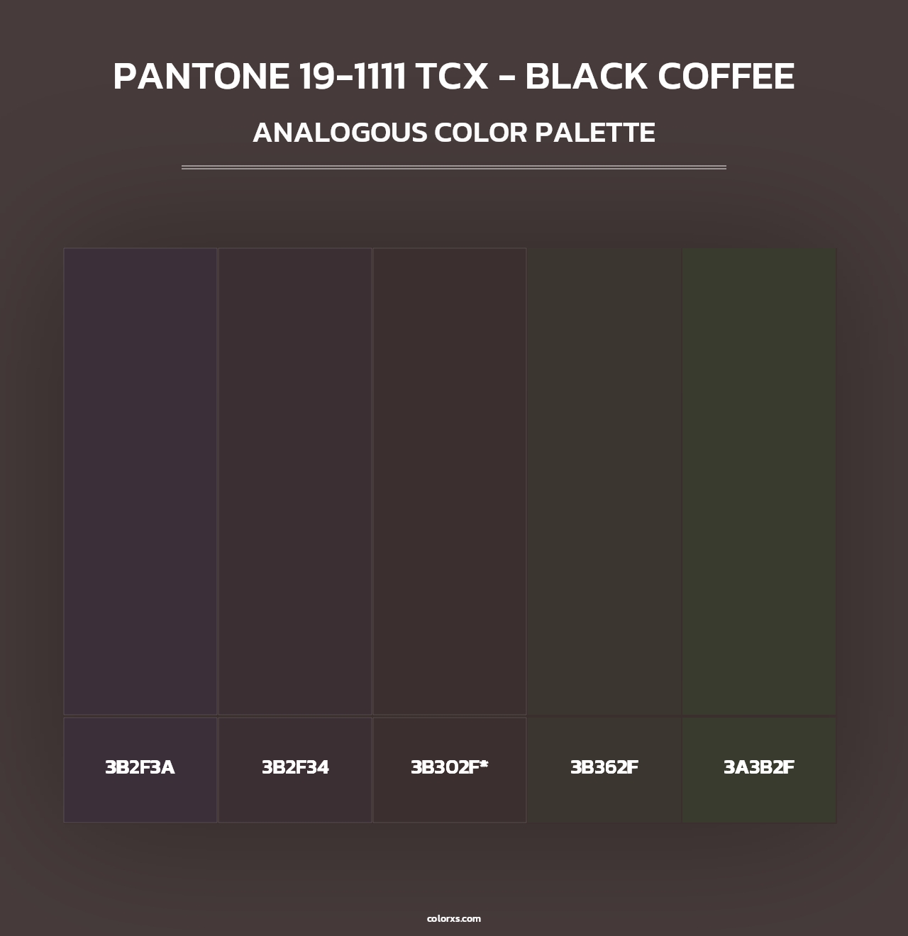 PANTONE 19-1111 TCX - Black Coffee - Analogous Color Palette