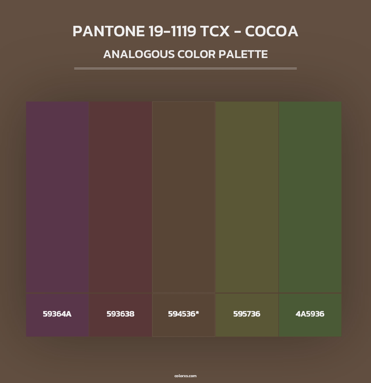 PANTONE 19-1119 TCX - Cocoa - Analogous Color Palette