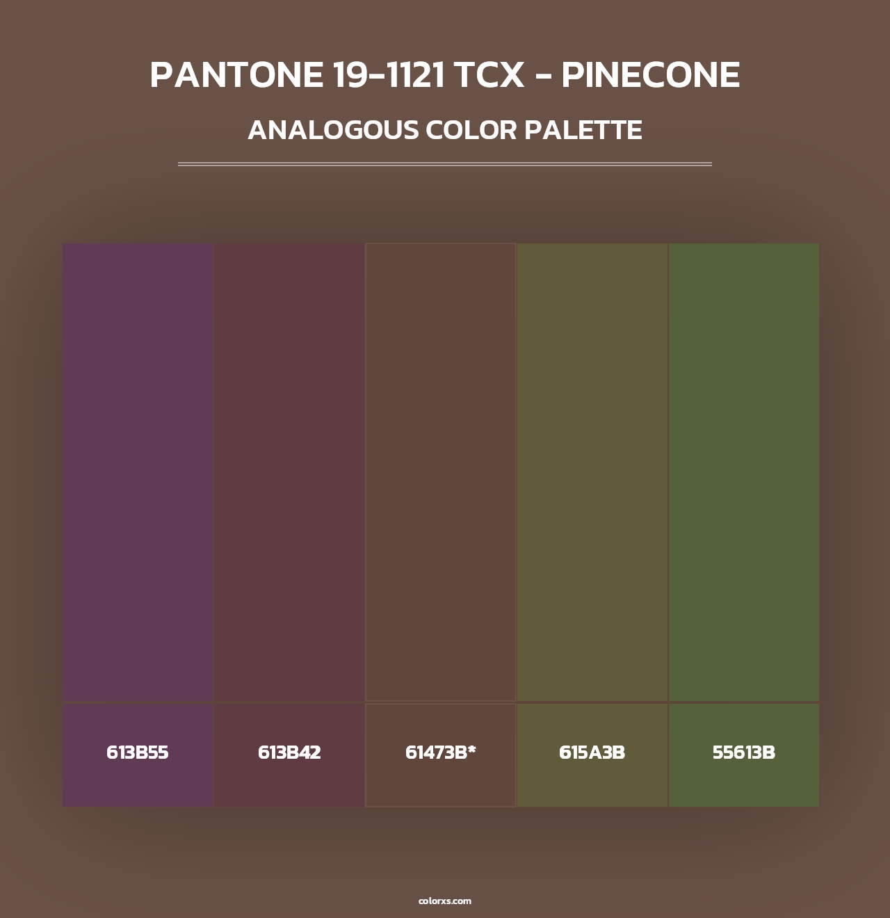 PANTONE 19-1121 TCX - Pinecone - Analogous Color Palette