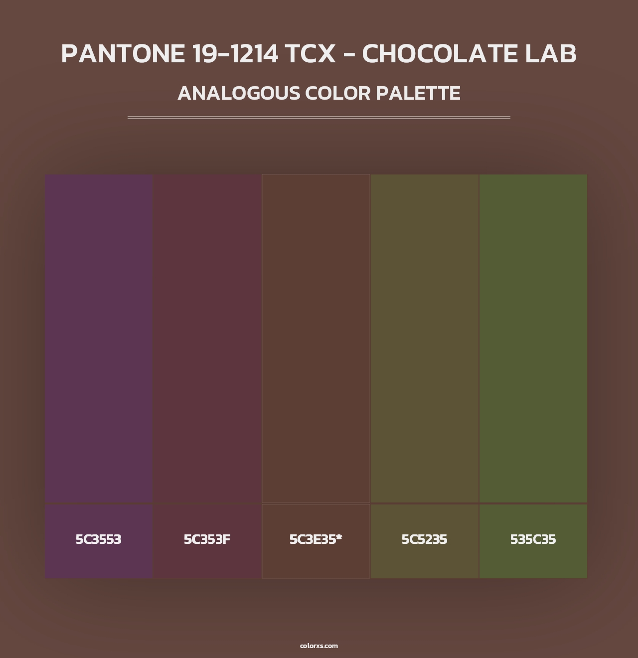 PANTONE 19-1214 TCX - Chocolate Lab - Analogous Color Palette