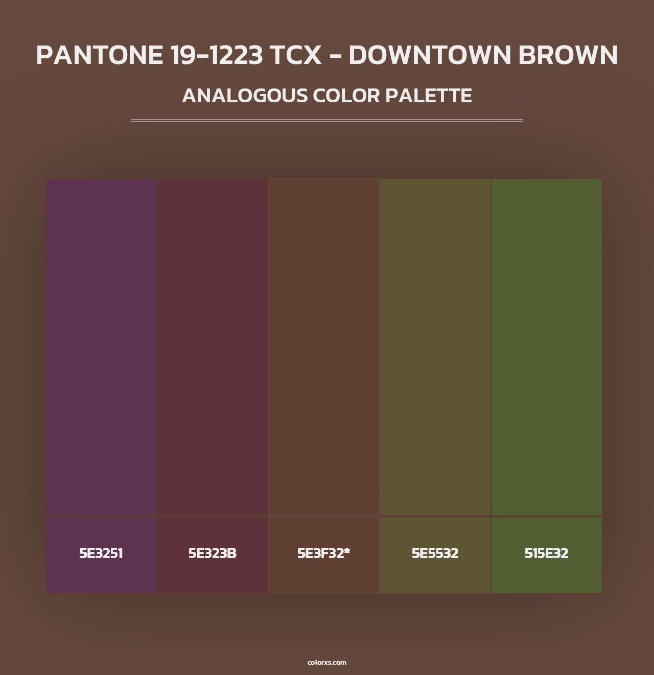 PANTONE 19-1223 TCX - Downtown Brown - Analogous Color Palette