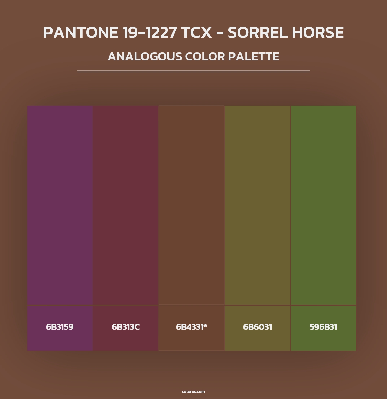 PANTONE 19-1227 TCX - Sorrel Horse - Analogous Color Palette