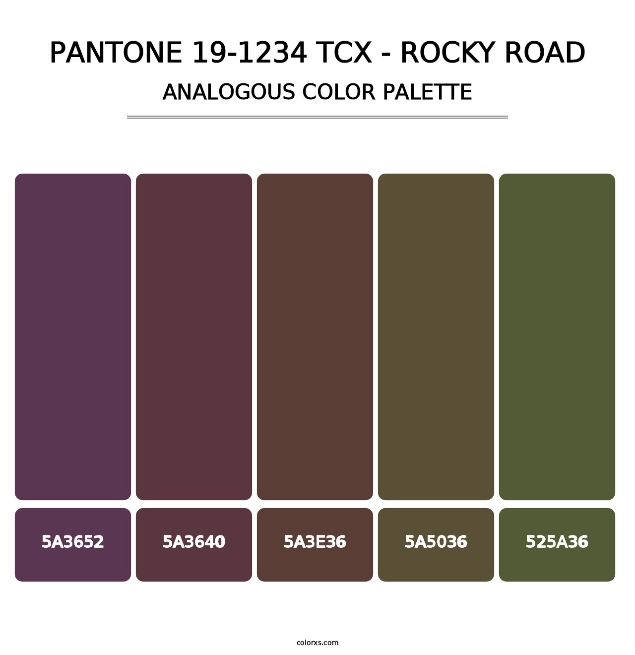 PANTONE 19-1234 TCX - Rocky Road - Analogous Color Palette